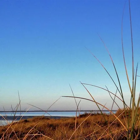 Haus-sylter-welle-086-ob Appartamento *